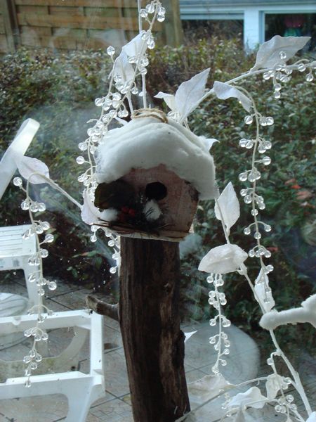 noel 2009 135
