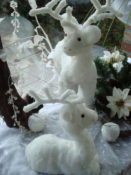 noel 2009 136