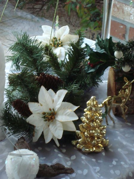 noel 2009 141