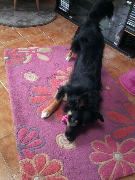 Photo0243