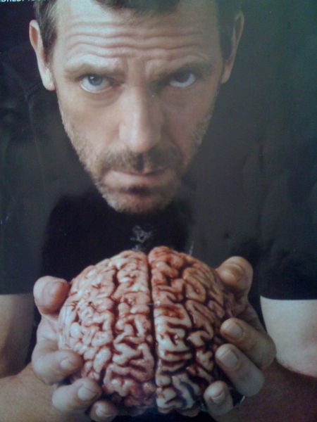 brain-pregnancy-1394.jpg