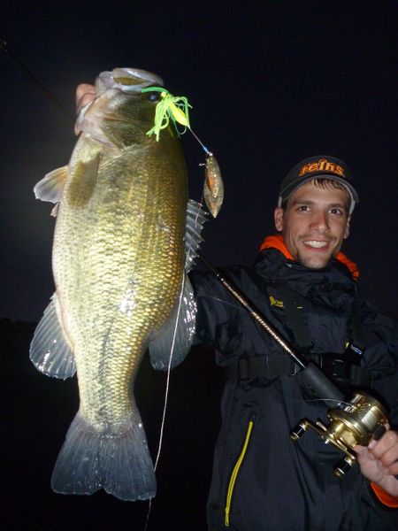 bass--2-.jpg