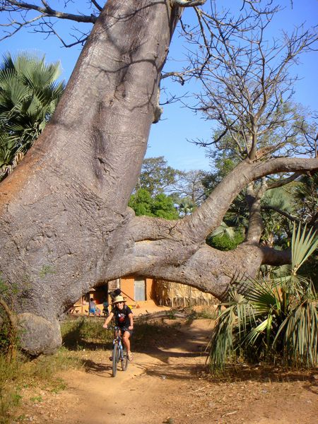 Casamance-2012-4.jpg