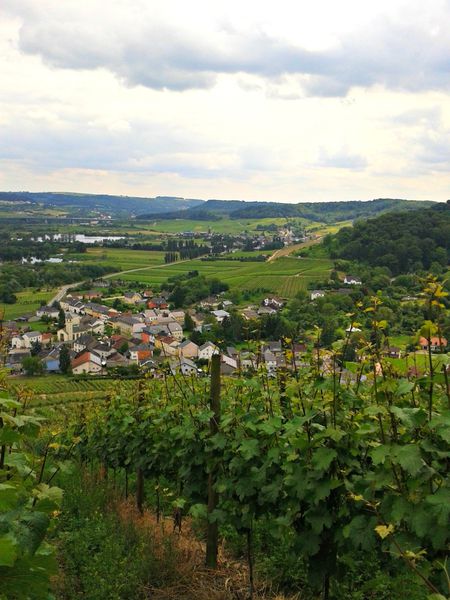 2013-06-26-14.38.53.jpg