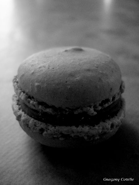 DSC00320 copie