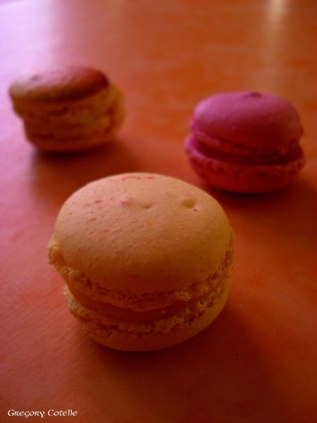 DSC00321 copie