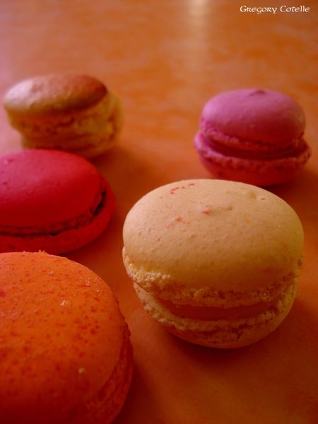 DSC00323 copie