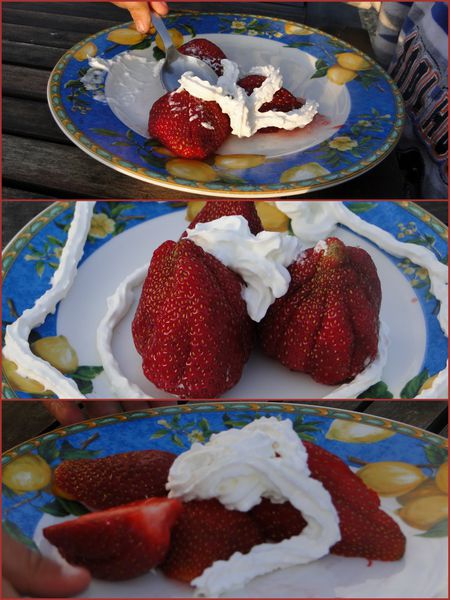 fraise.jpg