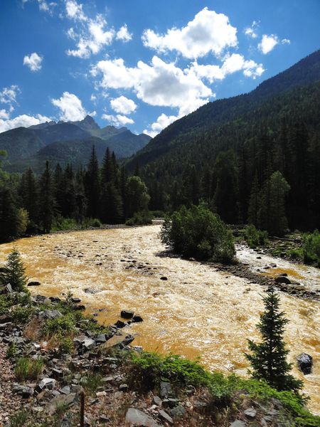 Train Silverton rivière gold 3