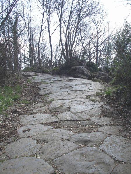 Colli_Albani_-_Monte_Cavo_-_La_Via_Sacra.JPG