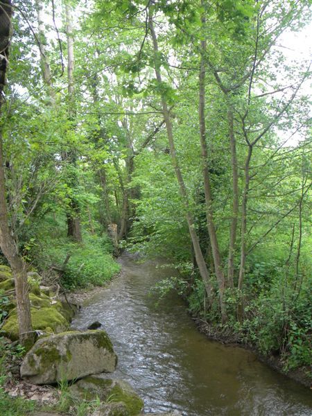 DSCN1657