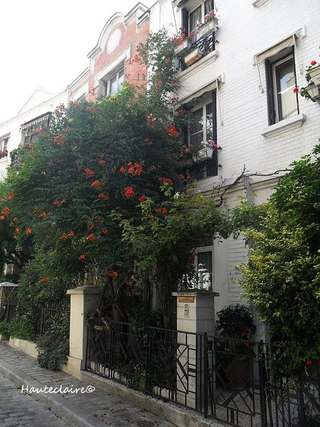 allée 2