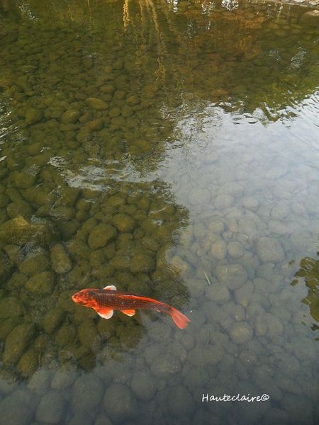 aquarium.jpg