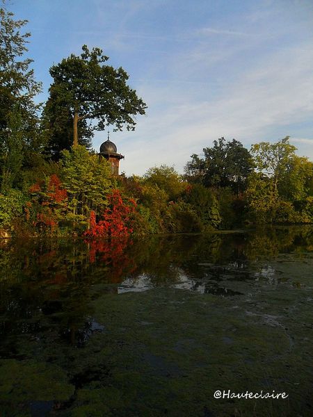 bois-de-boulogne--buisson-rouge.jpg