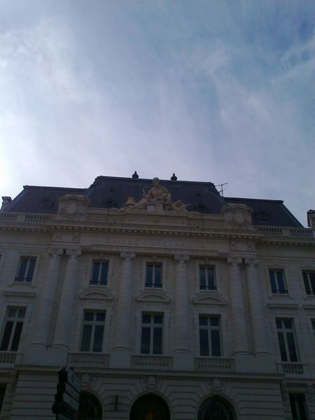 d-003-copie-1.jpg