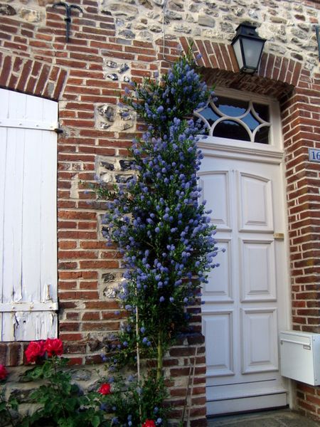 DSC07213.JPG
