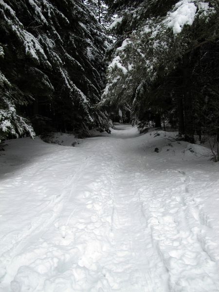 2010-02-06-col-de-loulliere 0251w