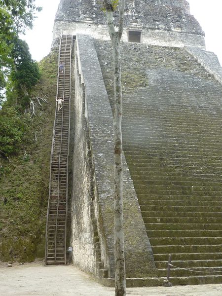 P1060026-Tikal.JPG