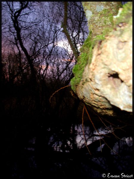 DSCN112 (15)