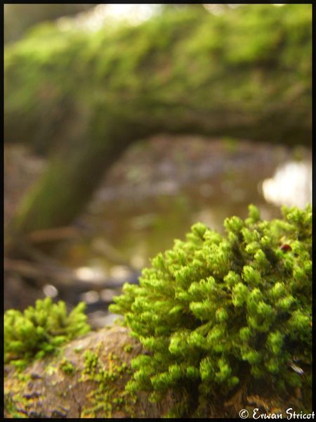 DSCN114 (15)