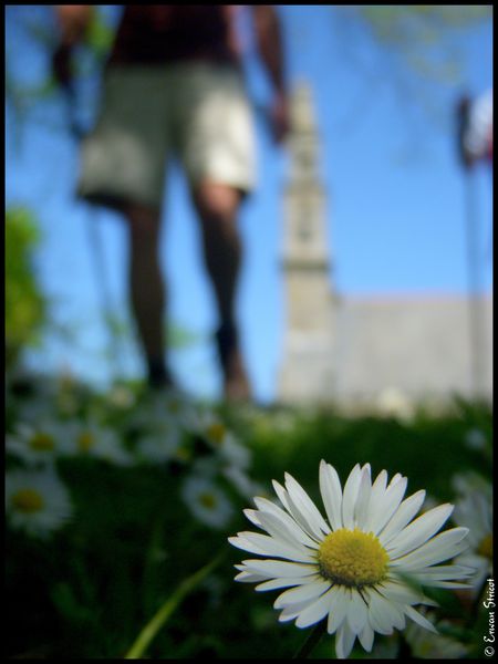 DSCN3177