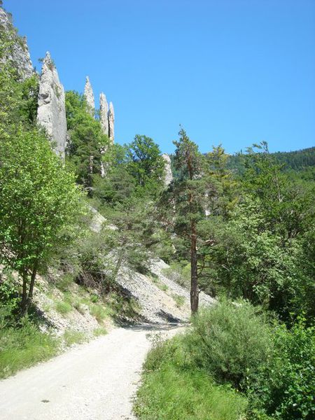 Les Sucettes de Bornes en plein cagnard