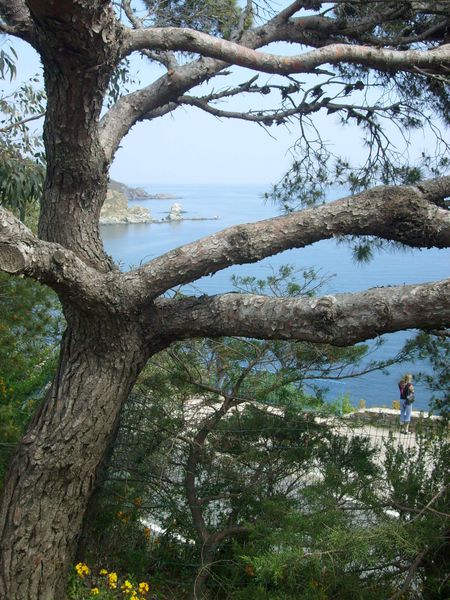 S7301481.JPG