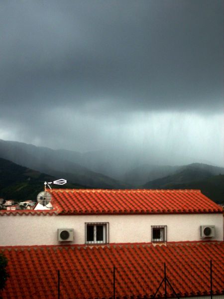 S7305421.JPG