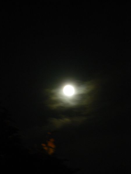 clair de lune