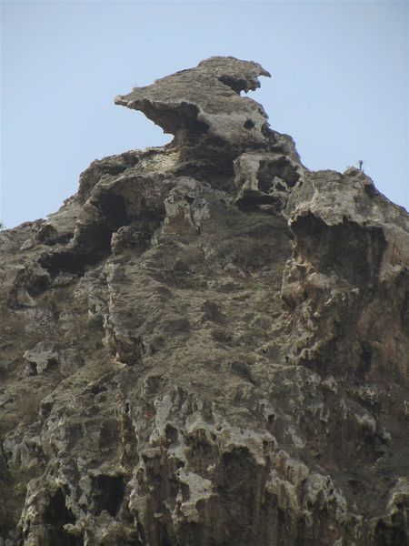 2012-03-Oman 0062 (Large)