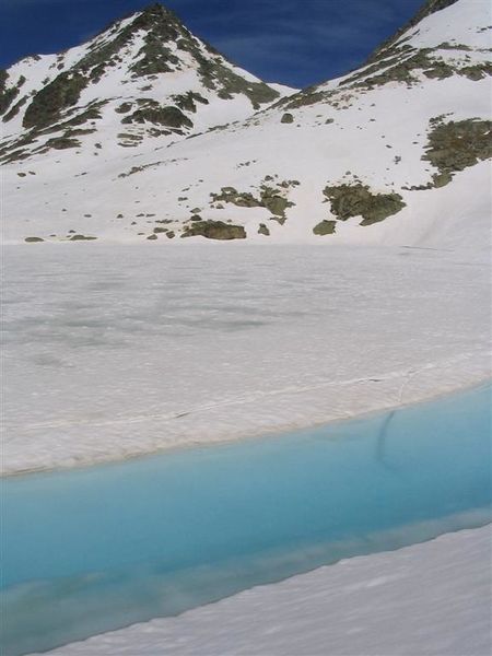 DH000032 (Large)