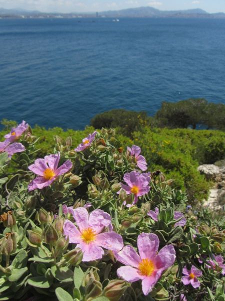 balades-Provence 4740