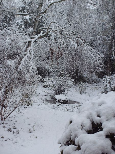 C'est l'hiver! 1