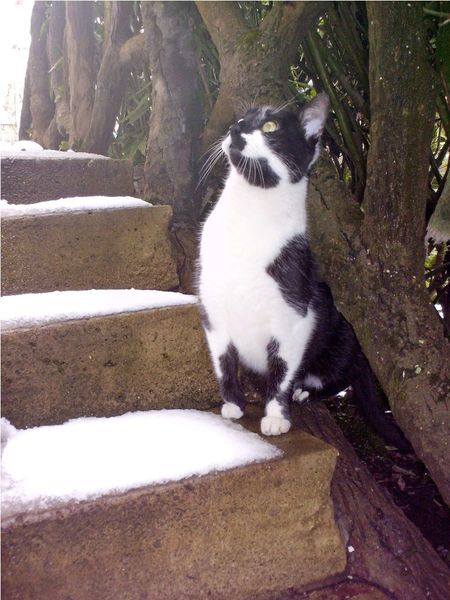 C'est l'hiver6