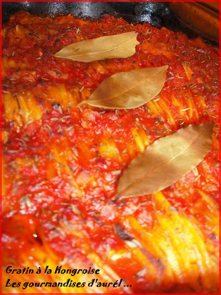 gratin-a-la-hongroise.jpg