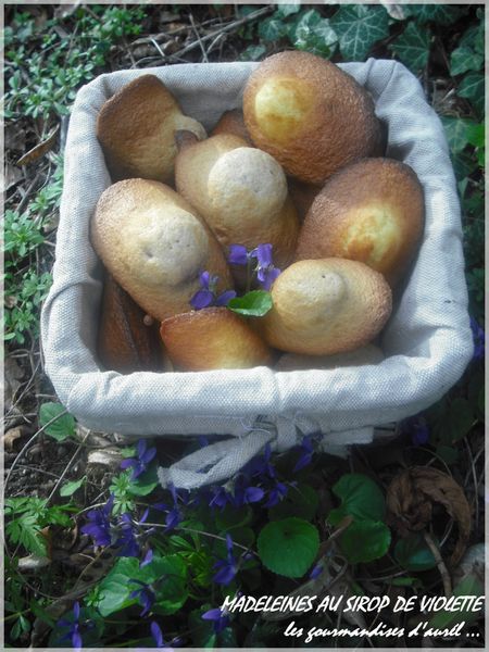 madeleine-au-sirop-de-violette1.jpg