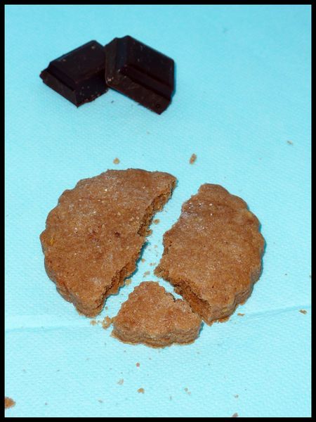 sables-au-chocolat-1.jpg