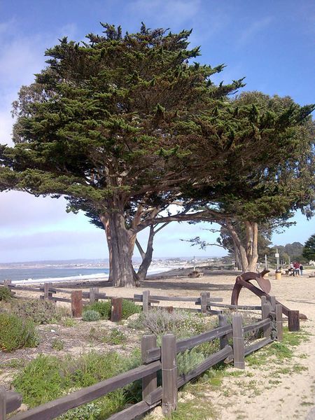 Monterey 28