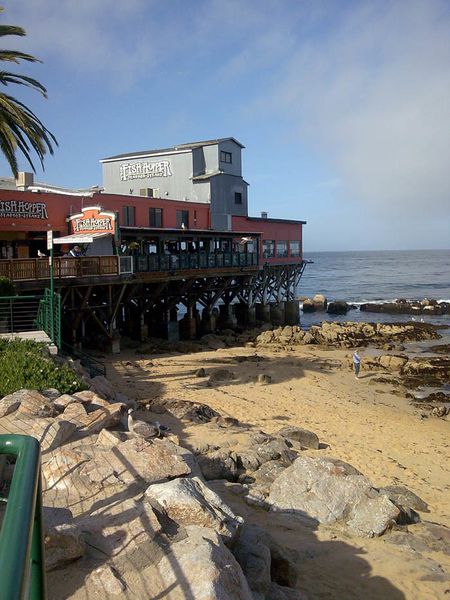 Monterey 36