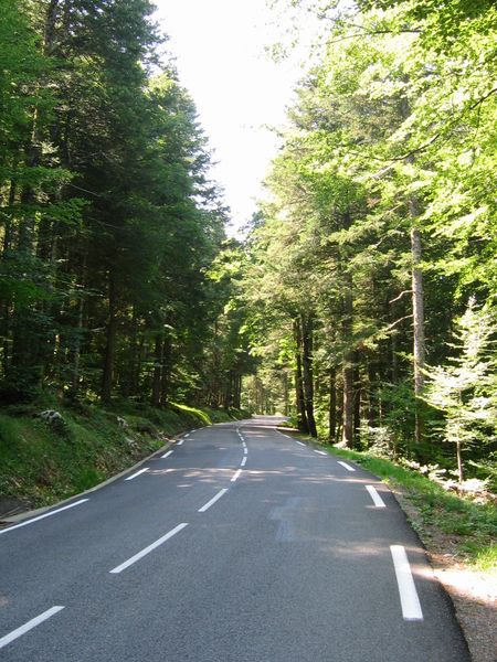 montee-col-de-porte-24-08-09-045.jpg