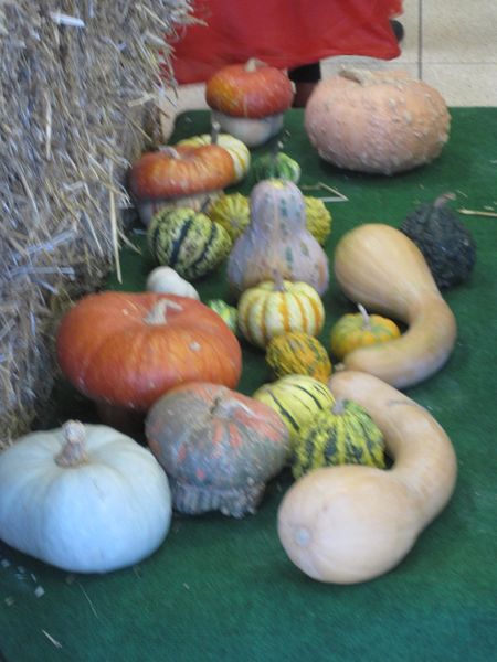 recette-octobre-026.JPG
