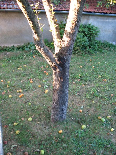 LE-JARDIN-0214.JPG