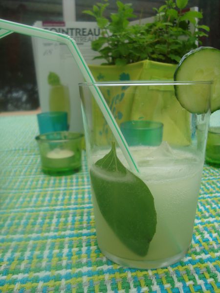 0000000000000cointreau fizz (1)