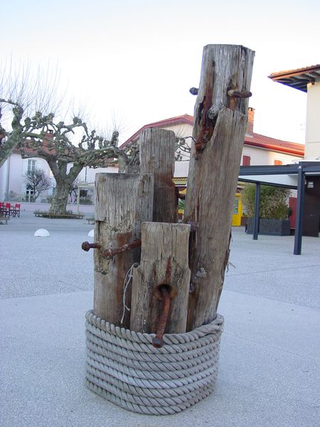 DSC00501-001