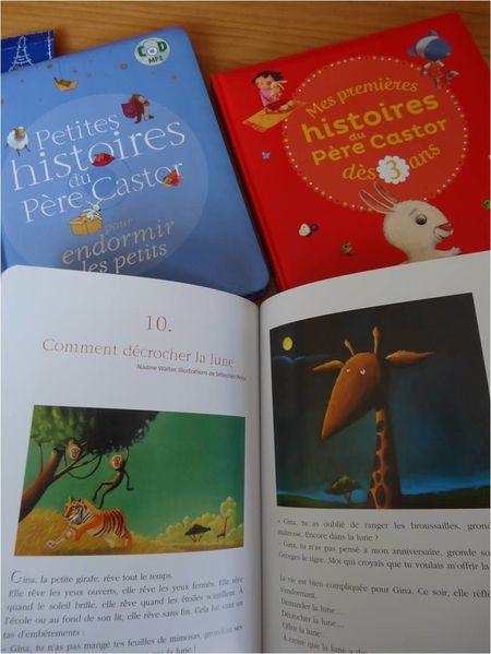 Petites histoires du PÃ&umlre Castor pour devenir plus grand (French Edition) Claire ClA©ment