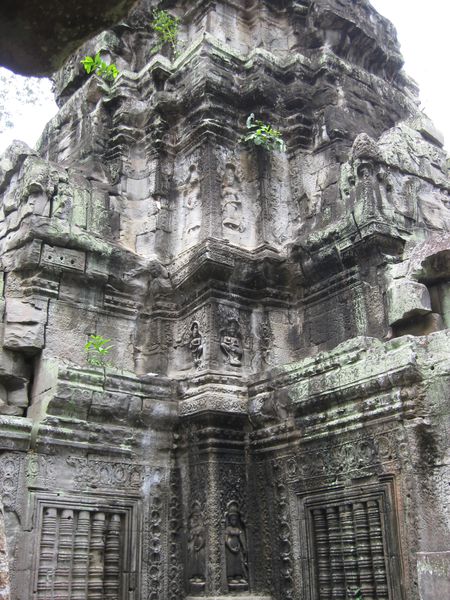 Ta-Prohm 0129