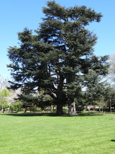 bel-air-09.JPG
