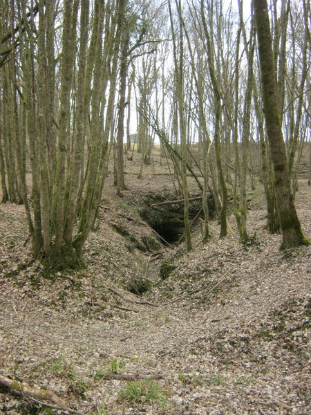 SAUVETERRE DE GUYENNE 022