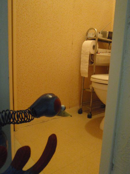 P4270090.JPG