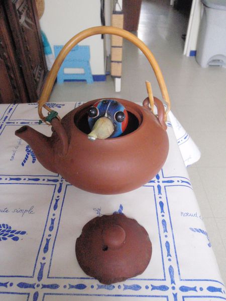 PA260022.JPG